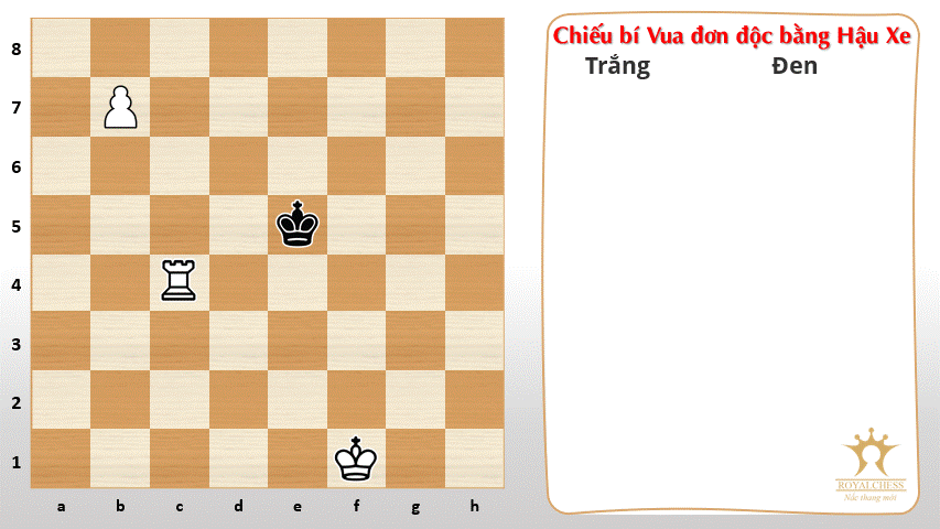 chieu-bi-vua-don-doc-bang-hau-Xe-mau-1.gif
