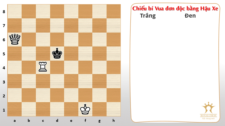 chieu-bi-vua-don-doc-bang-hau-Xe-mau-2.gif