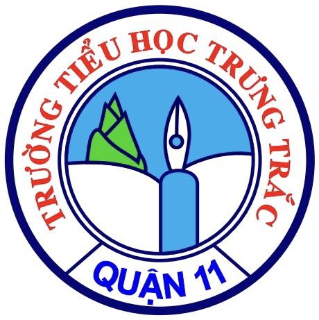 Trường TH Trưng Trắc - Quận 11